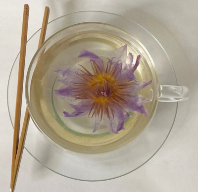 Blue Lotus Flower Tea (herbal tea/tisane)