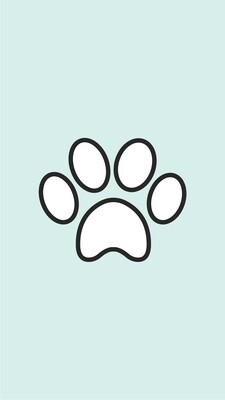 Interactive &amp; Treat Dispensers