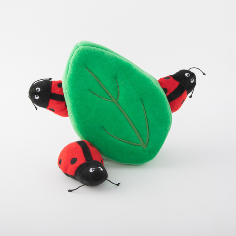 Ladybugs in Leaf - Hide &amp; Seek