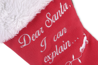 Good Dog Stocking with Bone - P.L.A.Y.