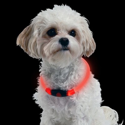 Glow LED Light Collars - Nite Ize