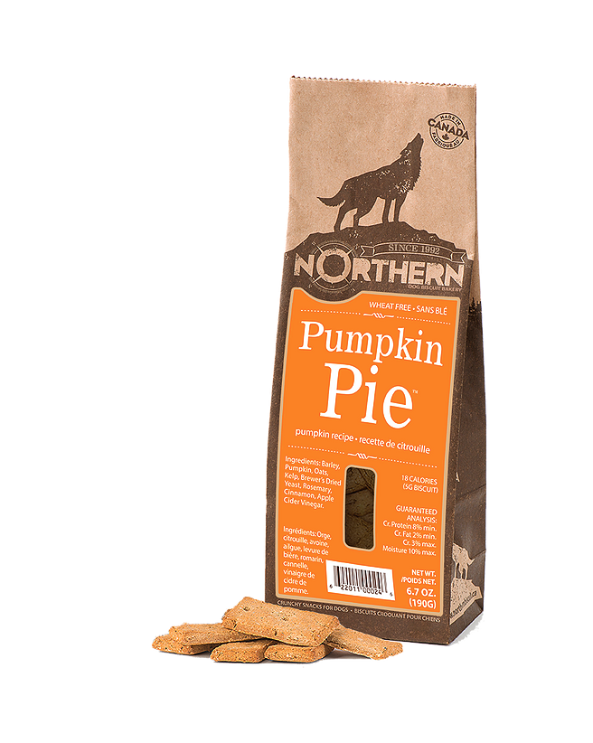 Pumpkin Pie - Northern Pet