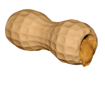 Peanut Chew Toy 