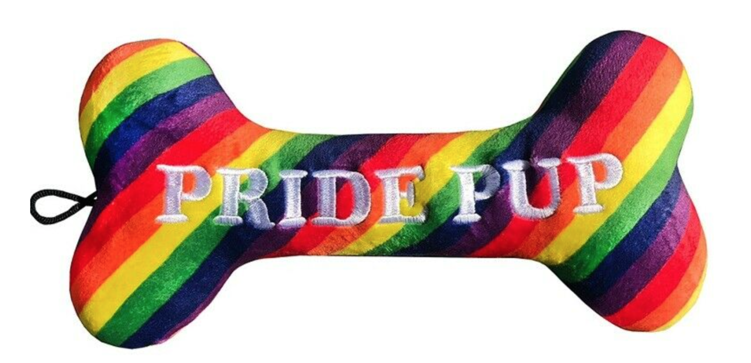 Rainbow Dog Bone Toy