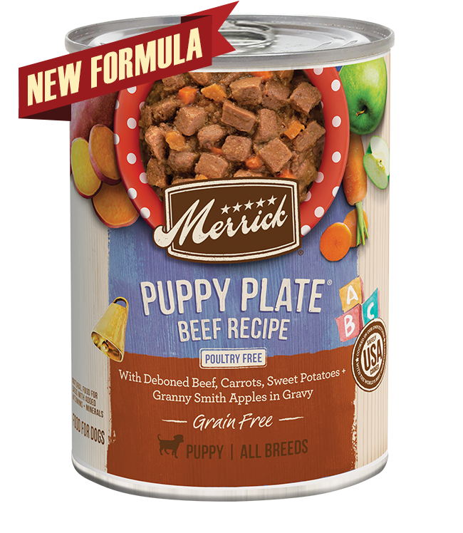 Puppy Plate Beef Recipe - Merrick
