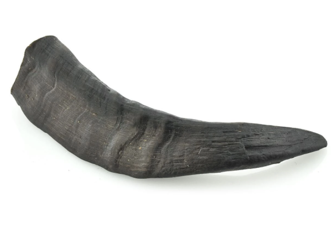 Goat Horn