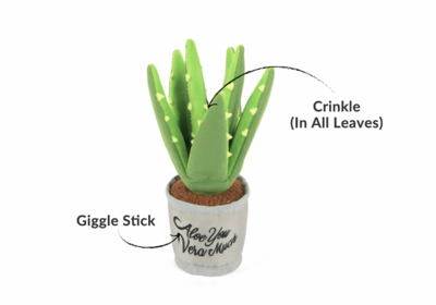 Aloe-ve You Plant - P.L.A.Y.