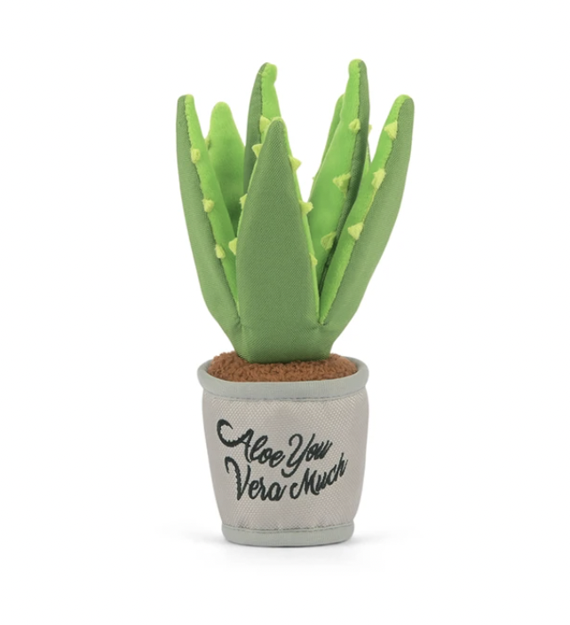 Aloe-ve You Plant - P.L.A.Y.
