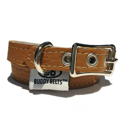 Buddy Belt Collar - Caramel