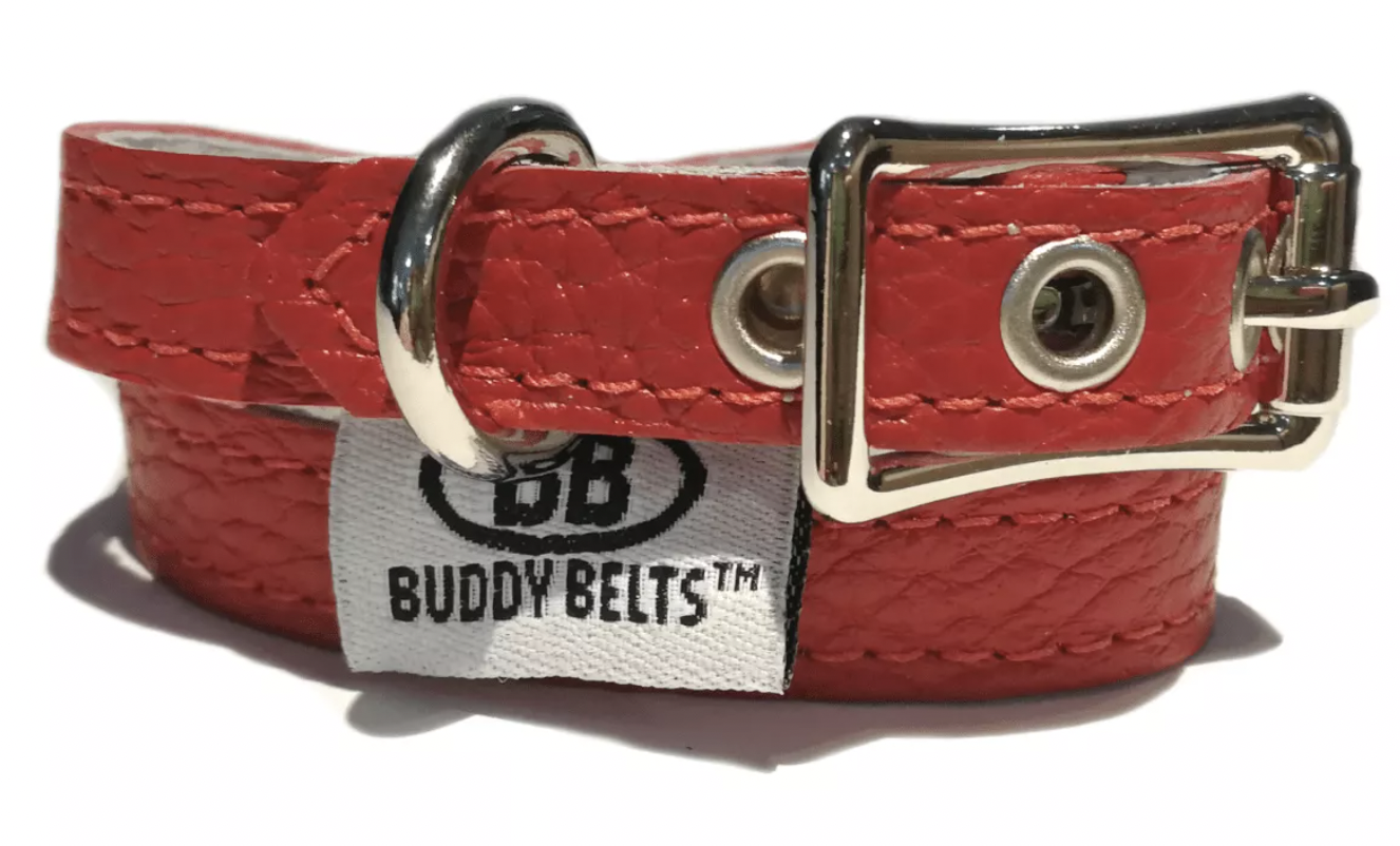 Buddy Belt Collar - Red
