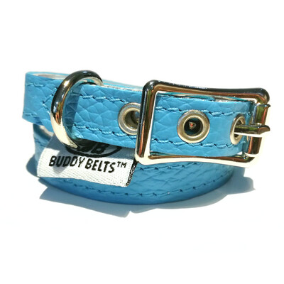 Buddy Belt Collar - Light Blue