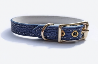Buddy Belt Collar - Navy Blue