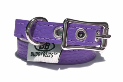Buddy Belt Collar - Ultraviolet