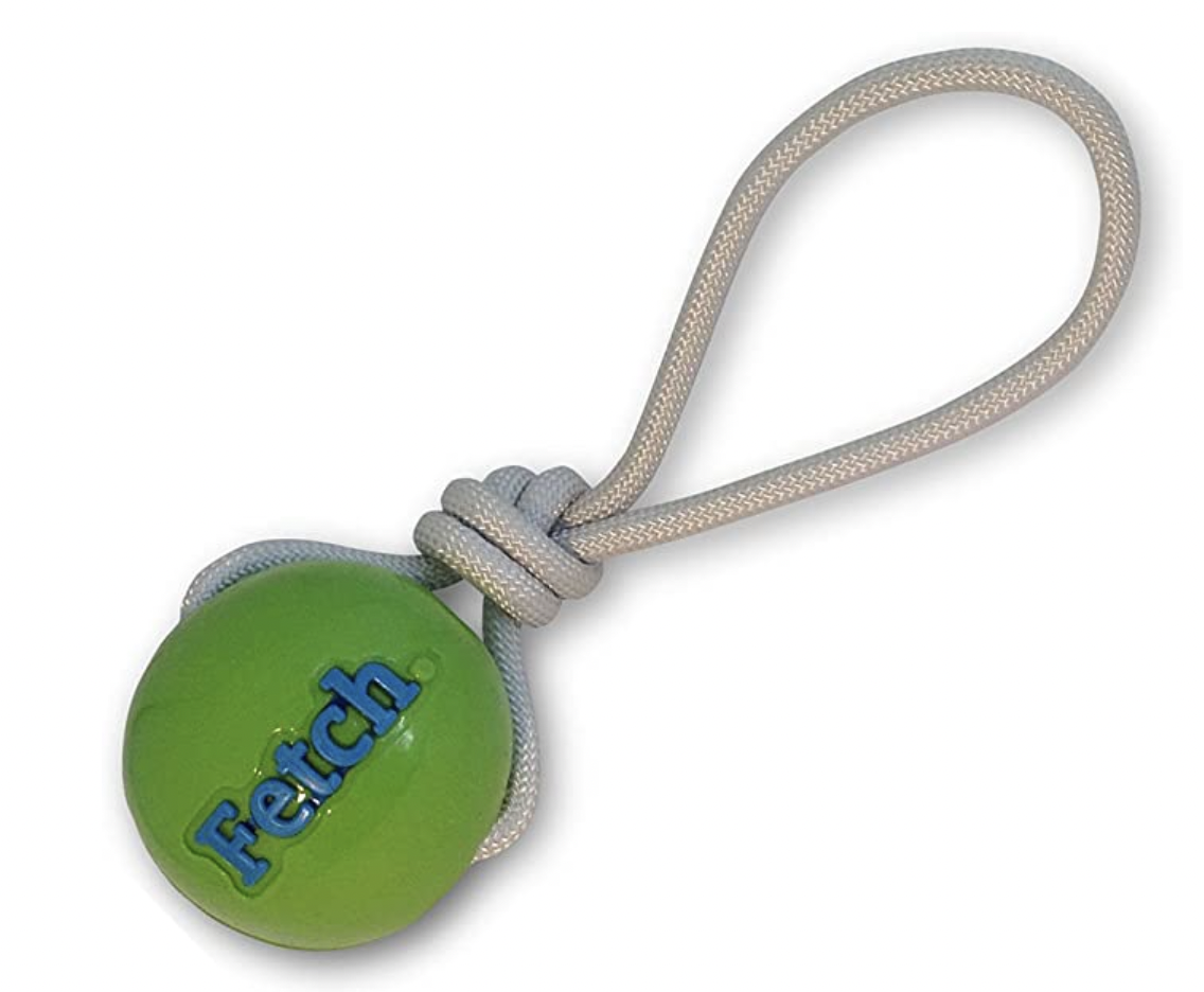 Fetch Ball with Rope - Orbee Tuff