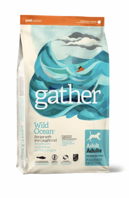 GATHER Wild Ocean Food Recipe