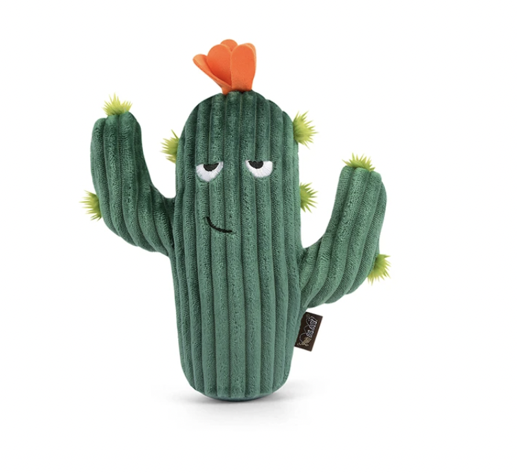 Prickly Pup Cactus - P.L.A.Y.