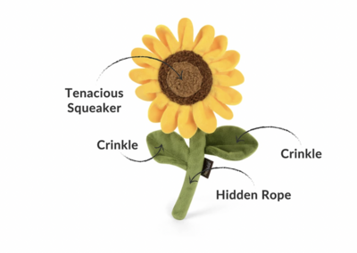 Sassy Sunflower - P.L.A.Y.