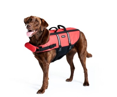 Red Life Jacket