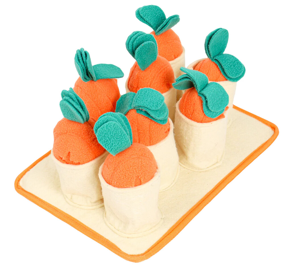 Snuffle Mat - Carrot Patch