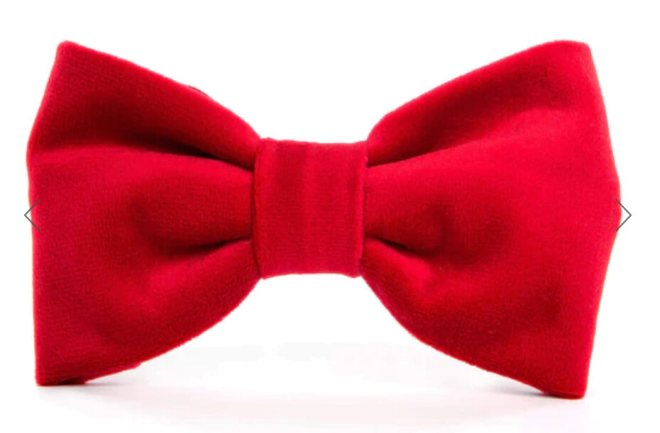 Cranberry Velvet Bow Tie - FD