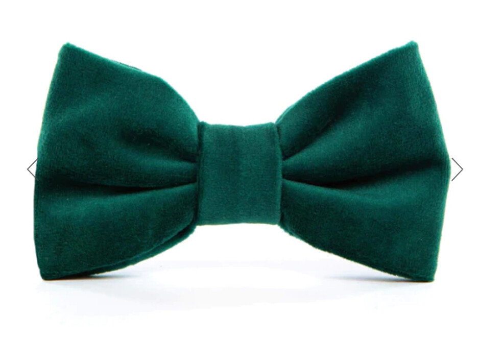 Forest Green Velvet Bow Tie - FD