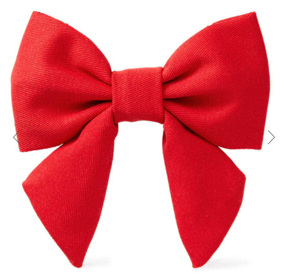 Ruby Red Long Bow Tie - FD