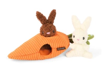 Bunnies in Carrot - P.L.A.Y.