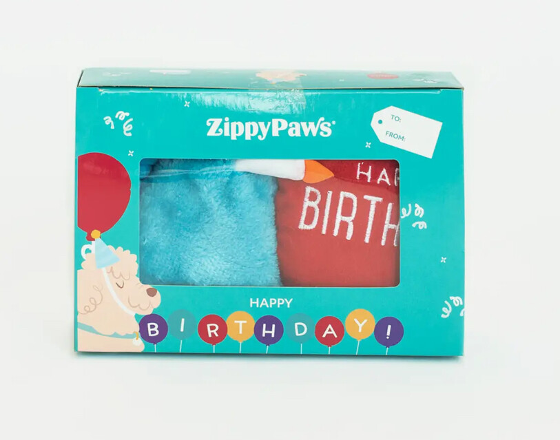 Birthday Box - Hat, Balloon, Cake Slice