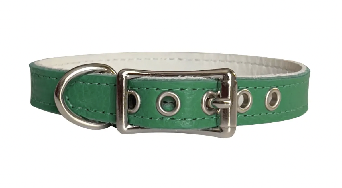 Buddy Belt Collar - Emerald