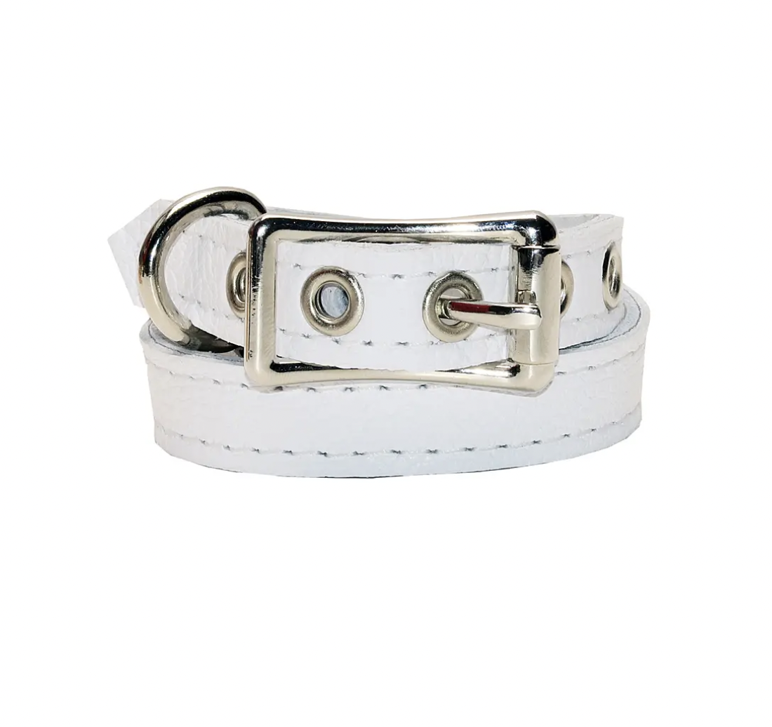 Buddy Belt Collar - Whitecap