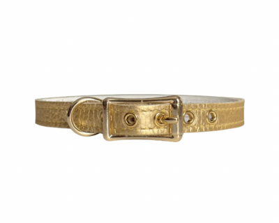 Buddy Belt Collar - Gold