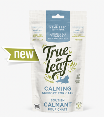 Calming Support Chews for Cats - True Leaf Calming Support Chews for Cats - True Leaf