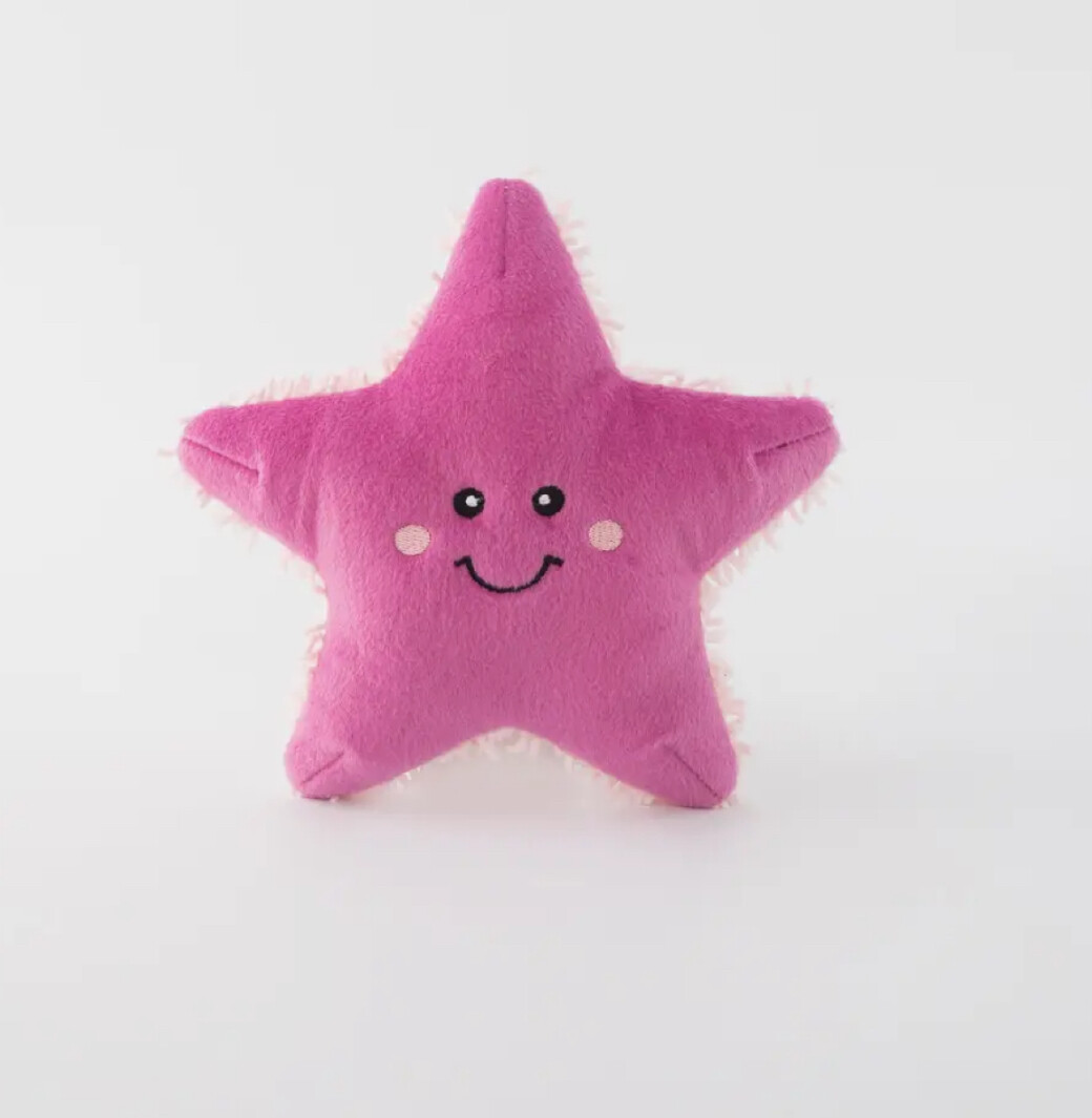 Starfish Toy