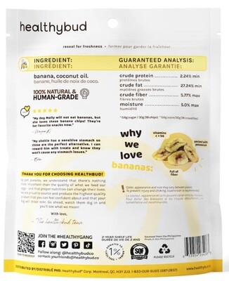 Banana Crisps - Healthybud