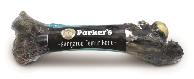 Kangaroo Femur - Parker’s