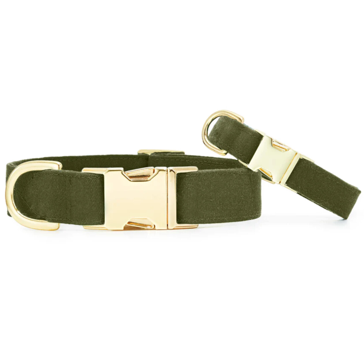 Olive Green Collar - FD