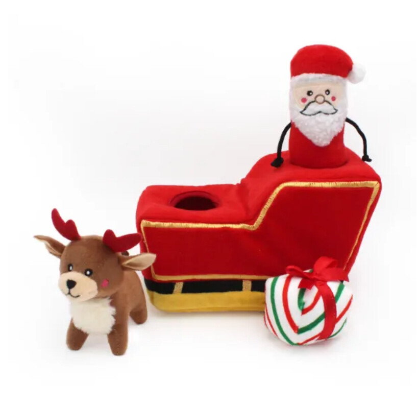 Santa Sleigh - Hide & Seek Toy