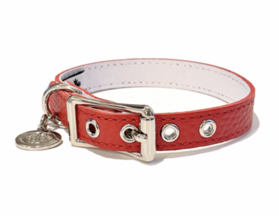 Buddy Belt Collar - Red
