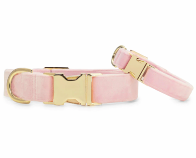 Blush Pink Velvet Collar - FD