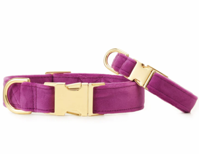 Purple Plum Velvet Collar - FD