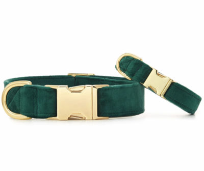 Forest Green Velvet w/ Gold Collar - FD