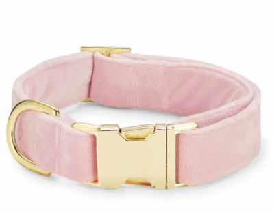 Blush Pink Velvet Collar - FD