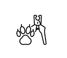 Kitty Nail Trim - Walk In Welcome