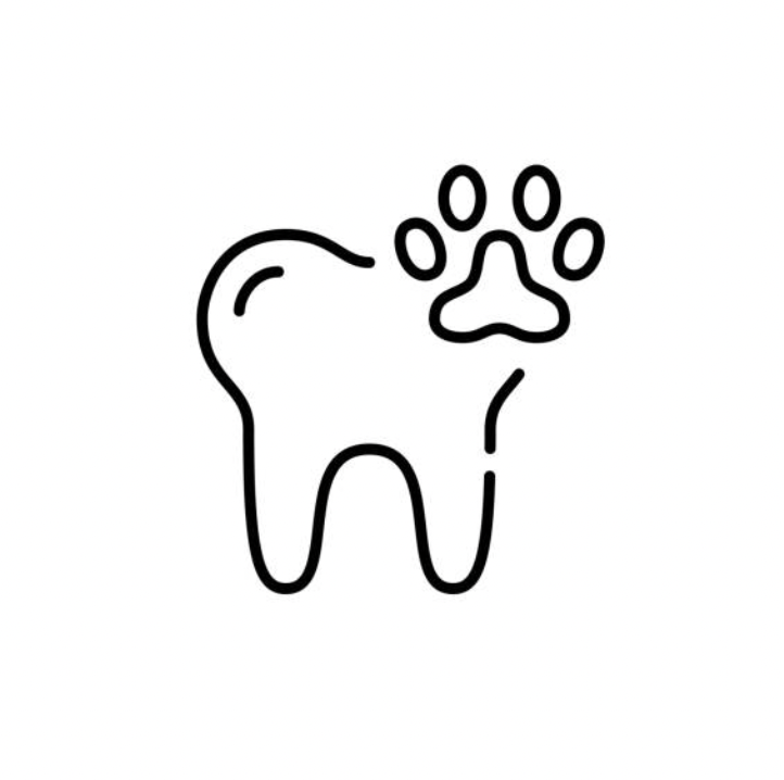 Kitty Teeth Cleaning (Professional No Anesthetic )