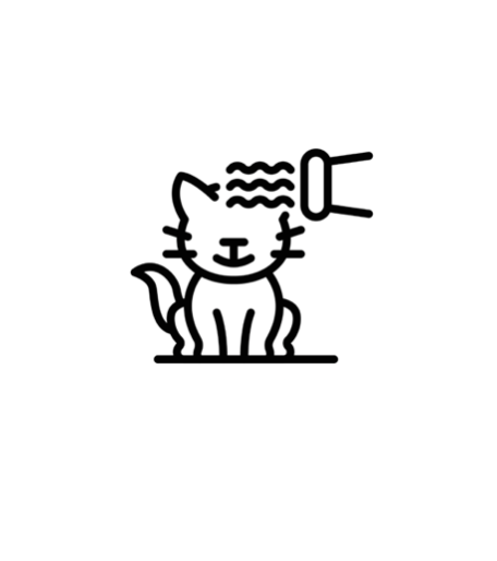 Full Groom - Cat