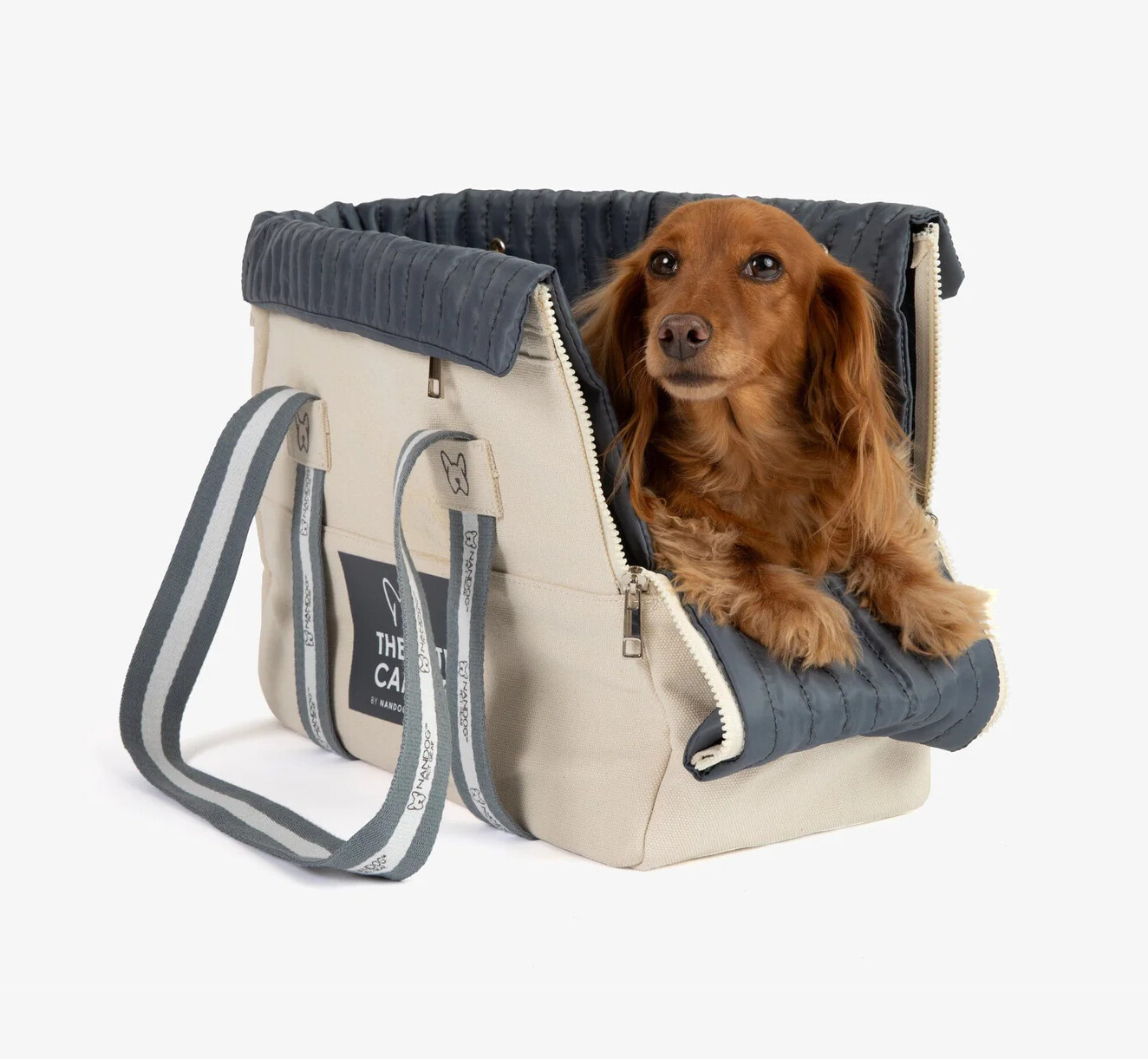 The Tote Pet Carrier