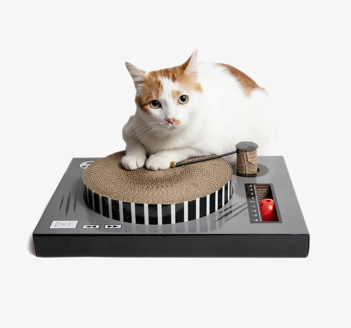 DJ Turn Table Cat Scratcher