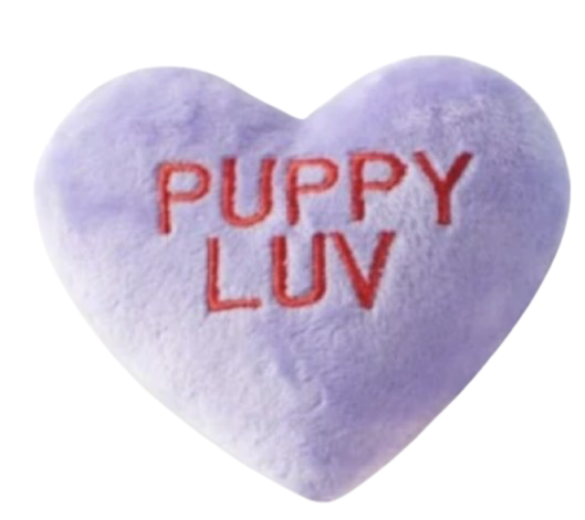 Mini Puppy Luv Heart Toy