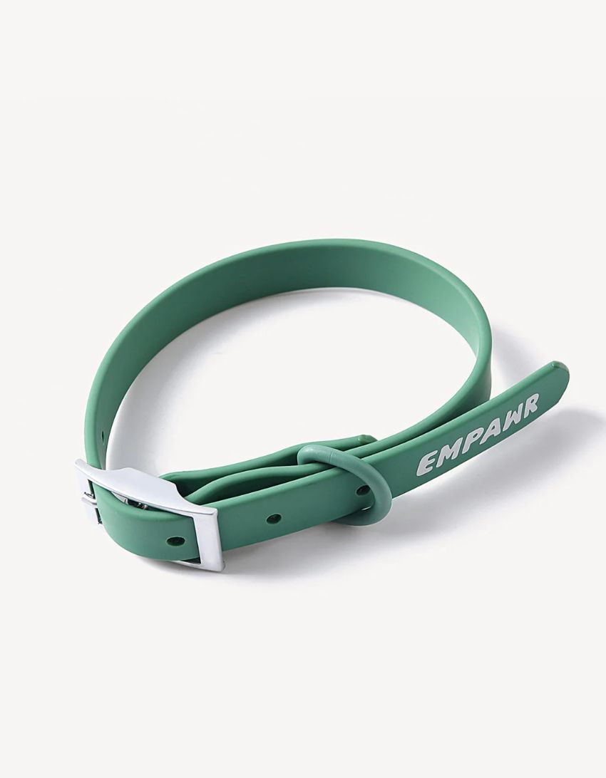 Waterproof City Dog Collar - Green