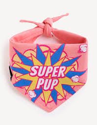 SuperPup Bandana - Empawr